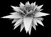 Occlusion 1